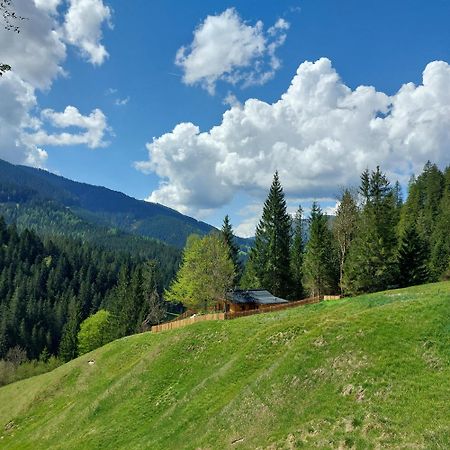Villa Huette Neuhaus Annaberg im Lammertal Exterior foto