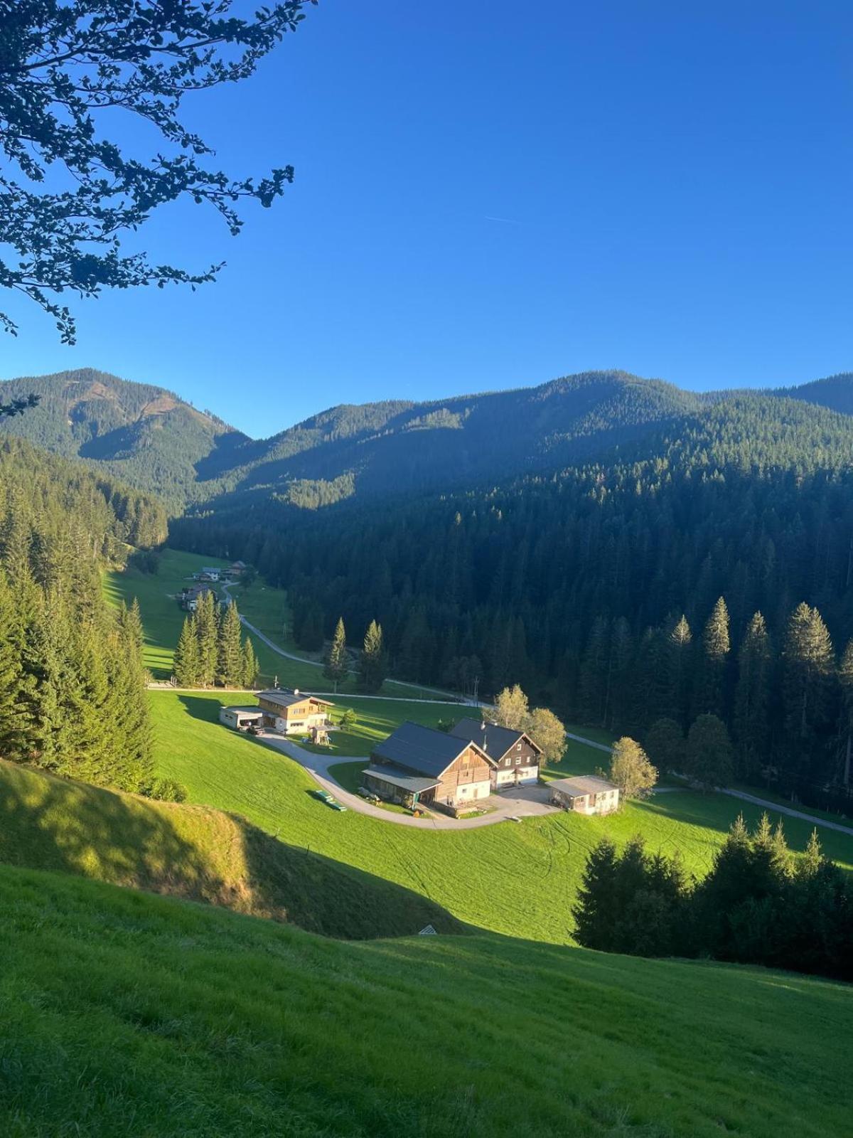 Villa Huette Neuhaus Annaberg im Lammertal Exterior foto