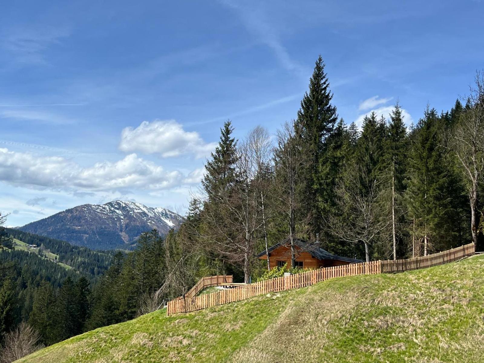 Villa Huette Neuhaus Annaberg im Lammertal Exterior foto