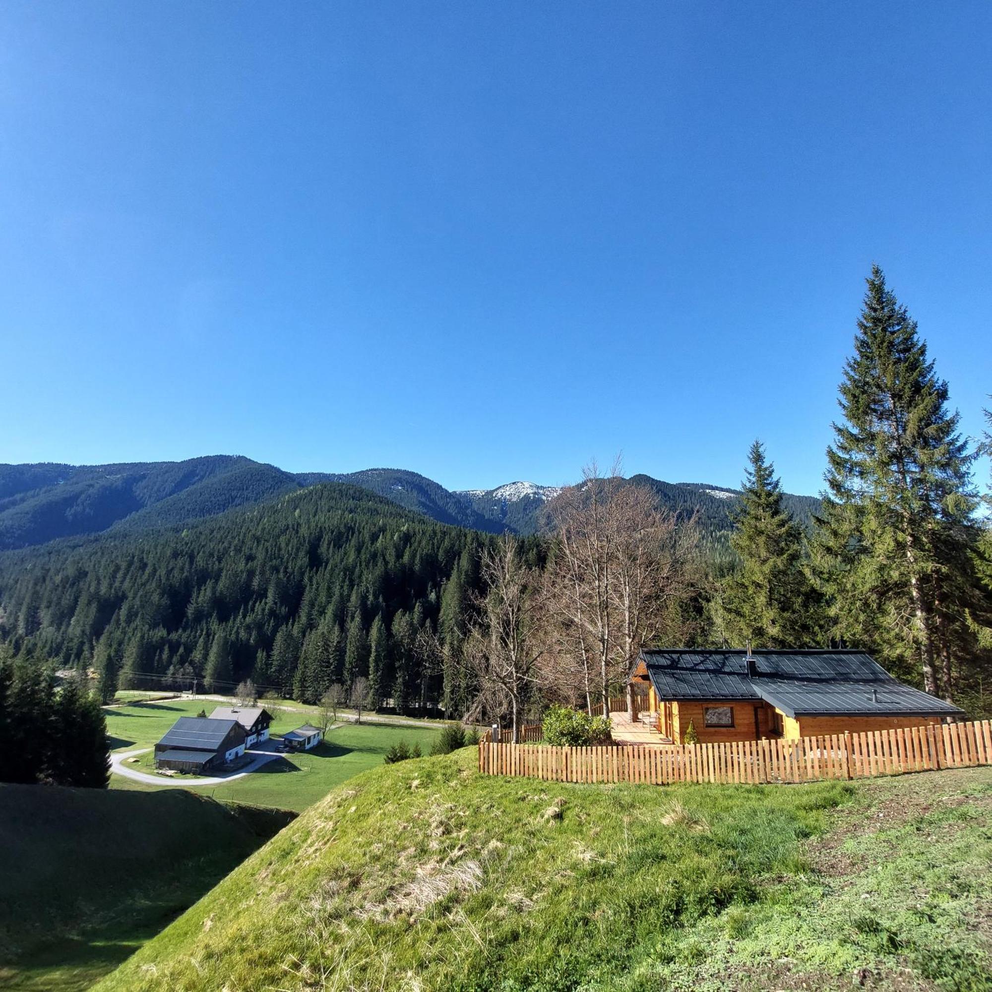 Villa Huette Neuhaus Annaberg im Lammertal Exterior foto